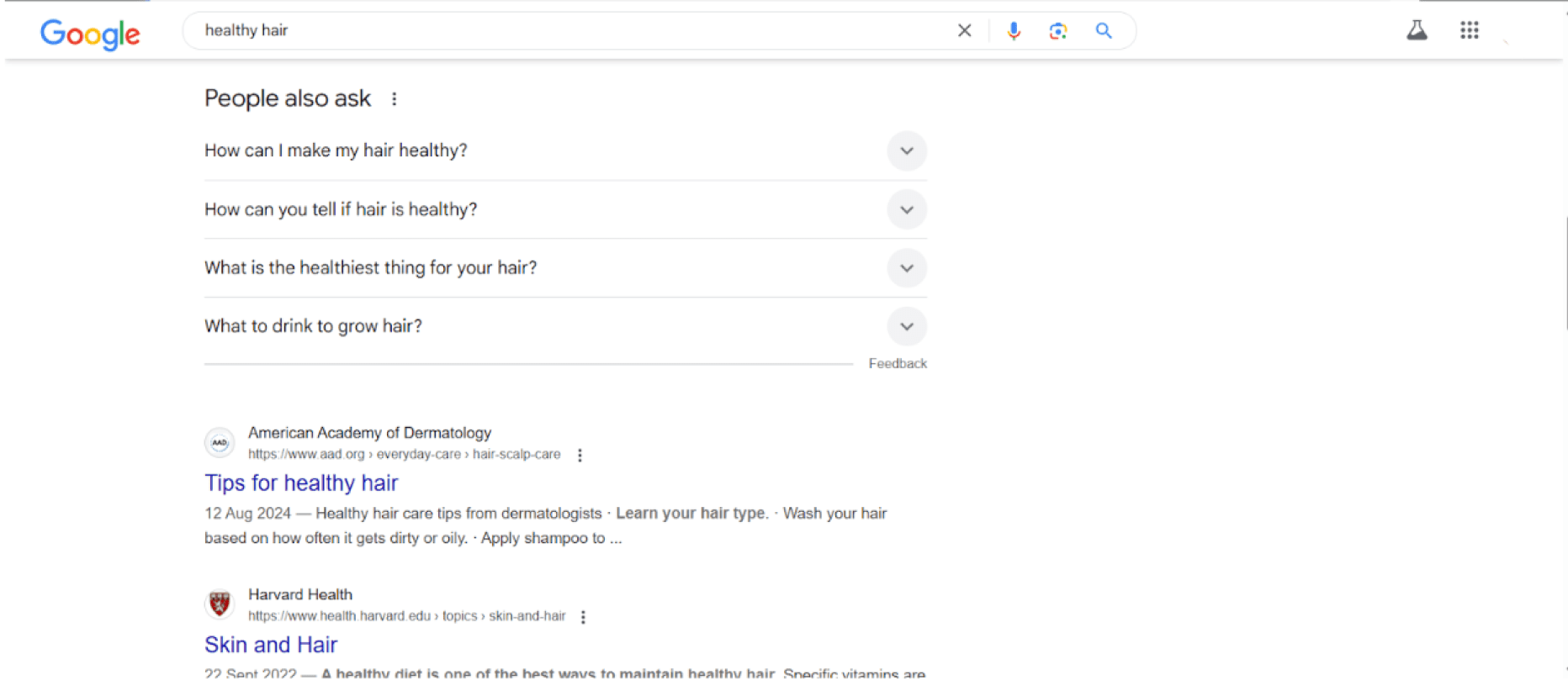 "People also ask" section example